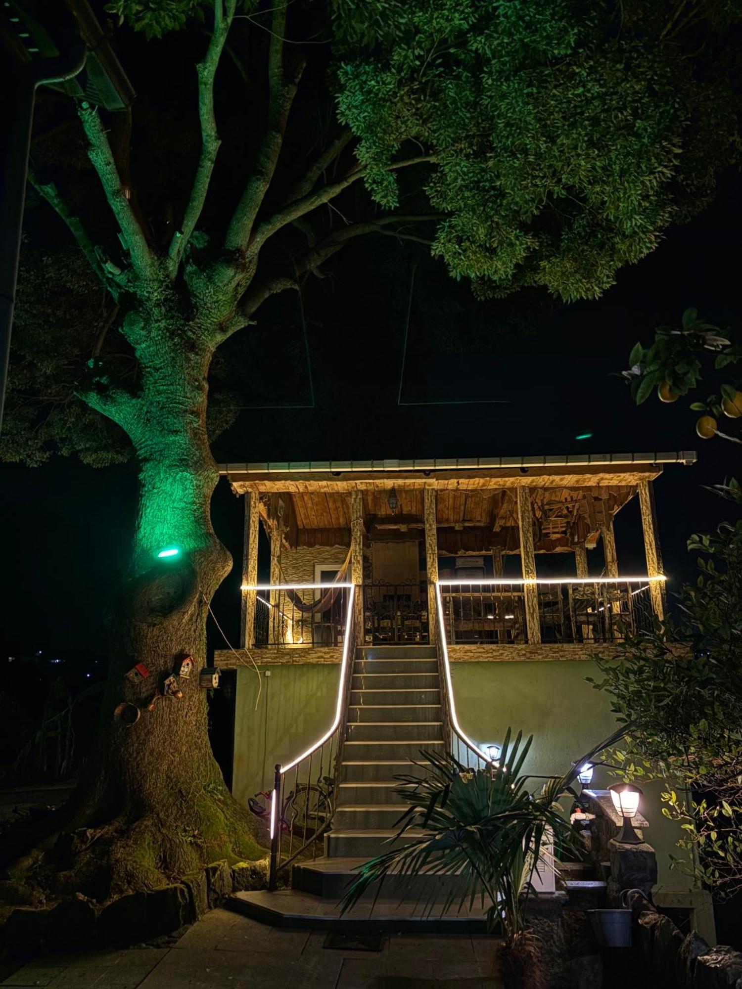 Apartment Green House Makhinjauri Exterior foto